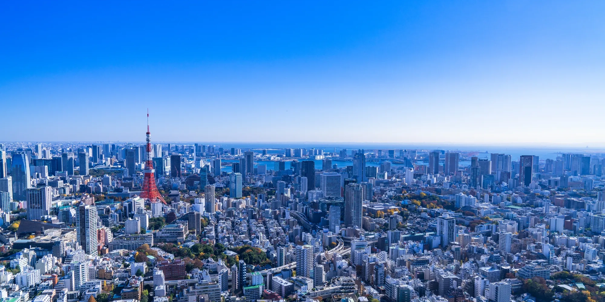 首都圏エリア対応しております。オフィスビル、商業施設、倉庫から大使館までの幅広い警備実績がり、状況に合わせたきめ細かい警備サービスを柔軟にご提供いたします。